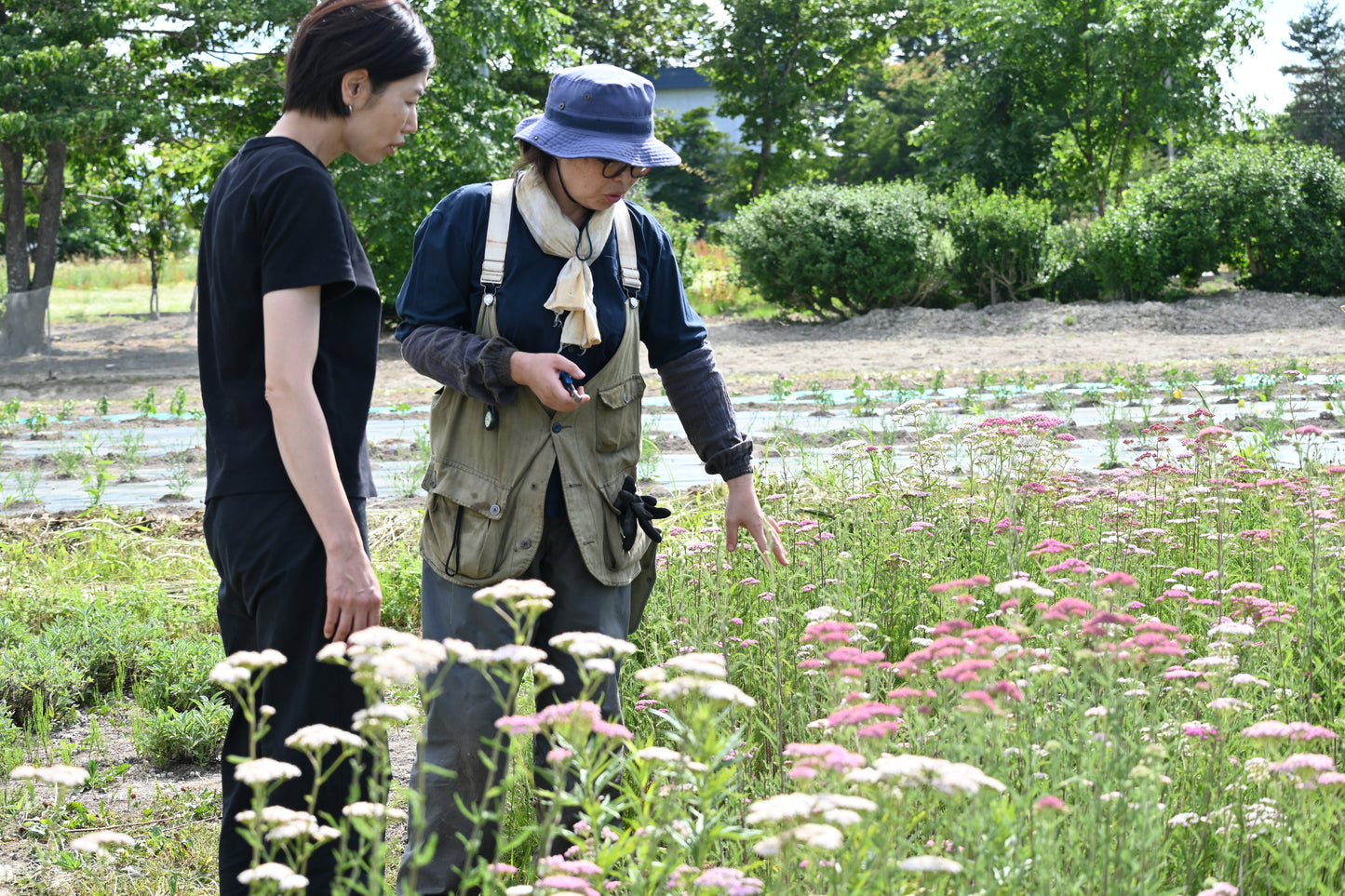 眠るまえのハーブティー